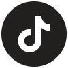 icon-tiktok